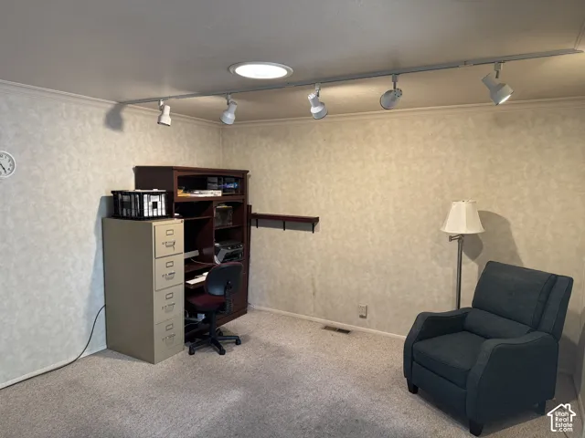 Recessed ceiling light with track lighting fixtures