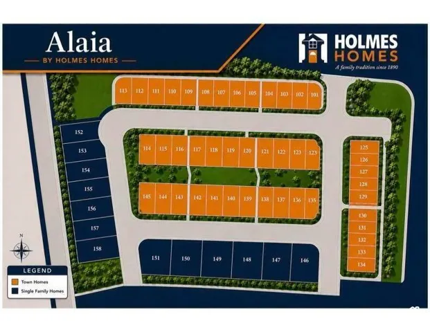 Site Plan. Illustrating the property layout with designated town homes and single family homes