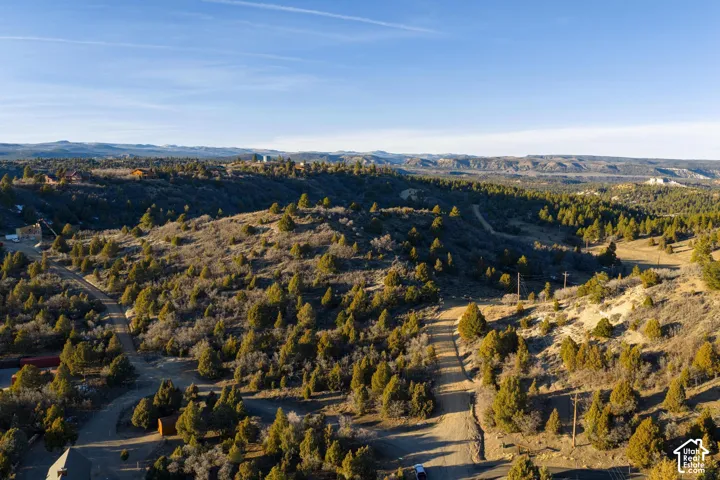 Expansive natural landscape featuring varied terrain, numerous evergreen trees, and distant hills