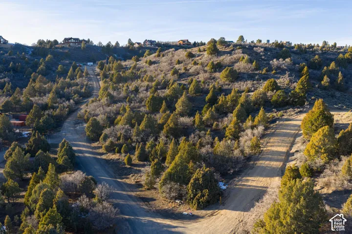 Expansive hilly terrain with natural foliage