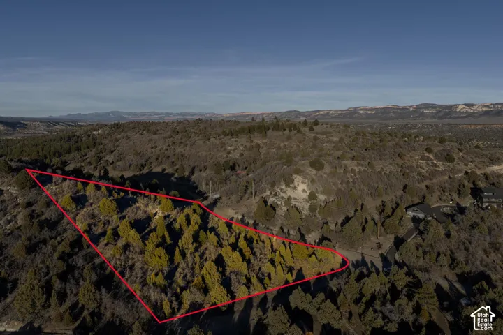 Expansive undeveloped land featuring a diverse mix of natural terrain and established trees