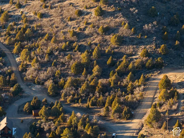 Vast hillside terrain featuring diverse native foliage and winding unpaved roads