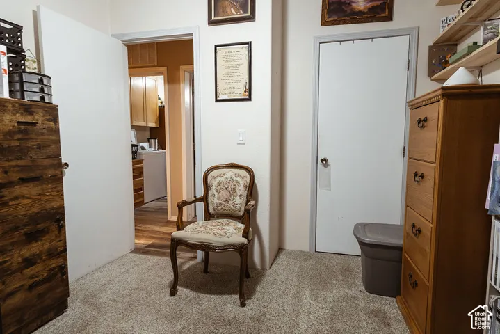 Interior room featuring neutral-toned carpeting, two solid-core interior doors with metallic hardware, and white-painted trim
