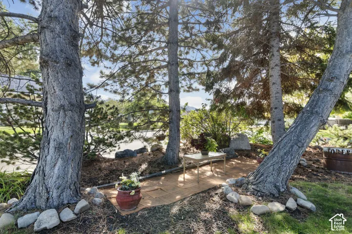 Mature trees with stone-lined base sitting area