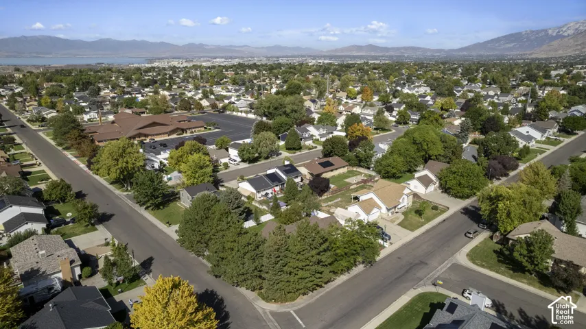 Residential neighborhood featuring a variety of single-family homes, mature trees, and paved streets