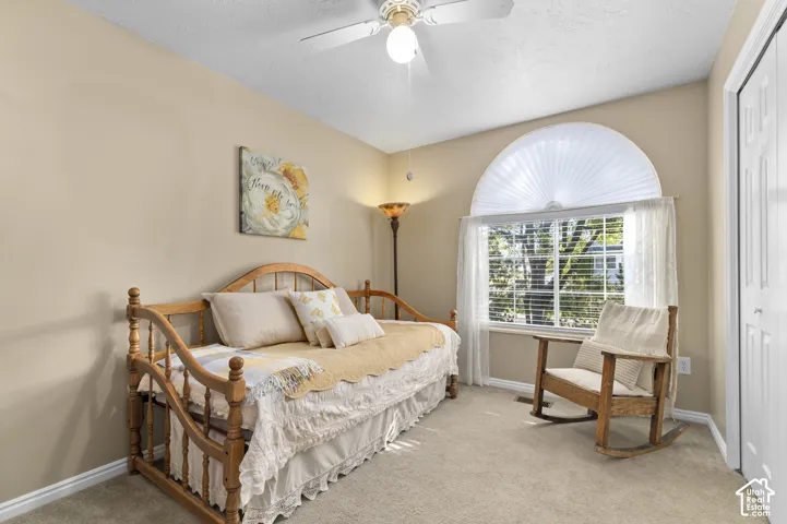 Arched window with privacy blinds and outdoor scenery