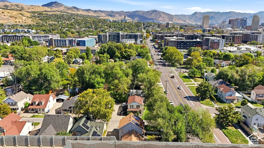 Expansive cityscape with mature trees and mountain scenery