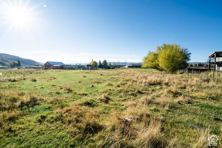 Expansive open field with natural grass and scattered trees, featuring distant structures and a clear sky