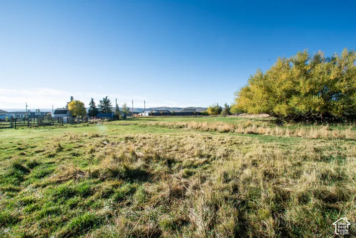 Expansive open land with varied grass textures, mature trees with yellow foliage, and a clear blue sky overhead