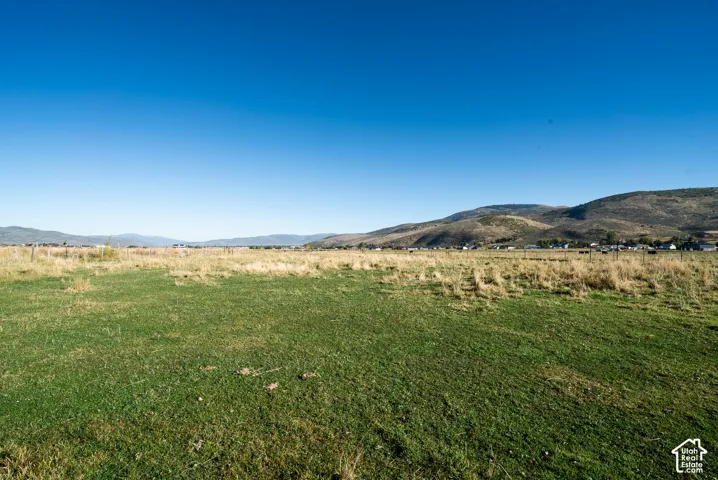 Expansive open land featuring natural grasses and distant mountain ranges