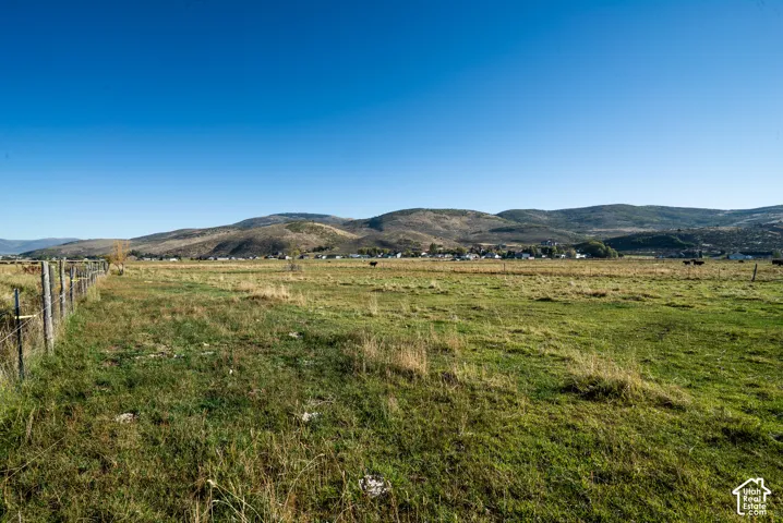 Expansive green field with a wire fence