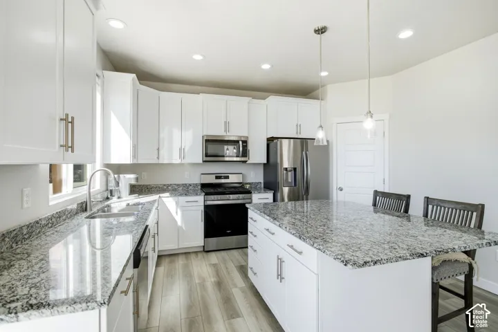 1184 S 1325 W, Springville, Utah 84663