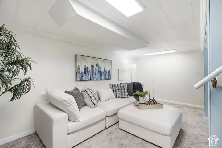Basement living room