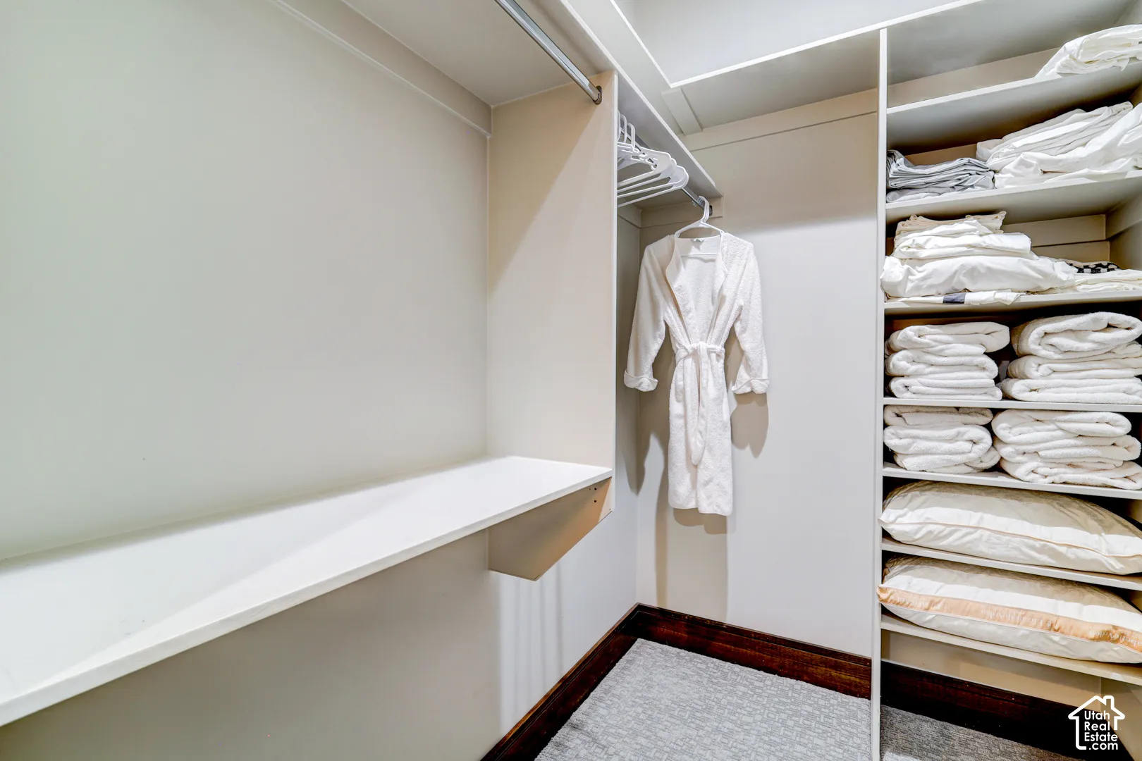 Built-in shelving, hanging rod, and wall-mounted shelving unit