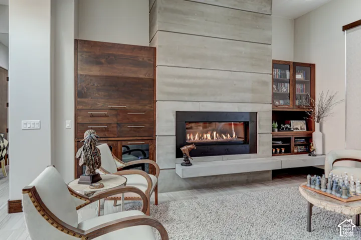 Concrete-finish fireplace surround with an integrated hearth, flanked by built-in wood cabinetry, and wood-finish flooring