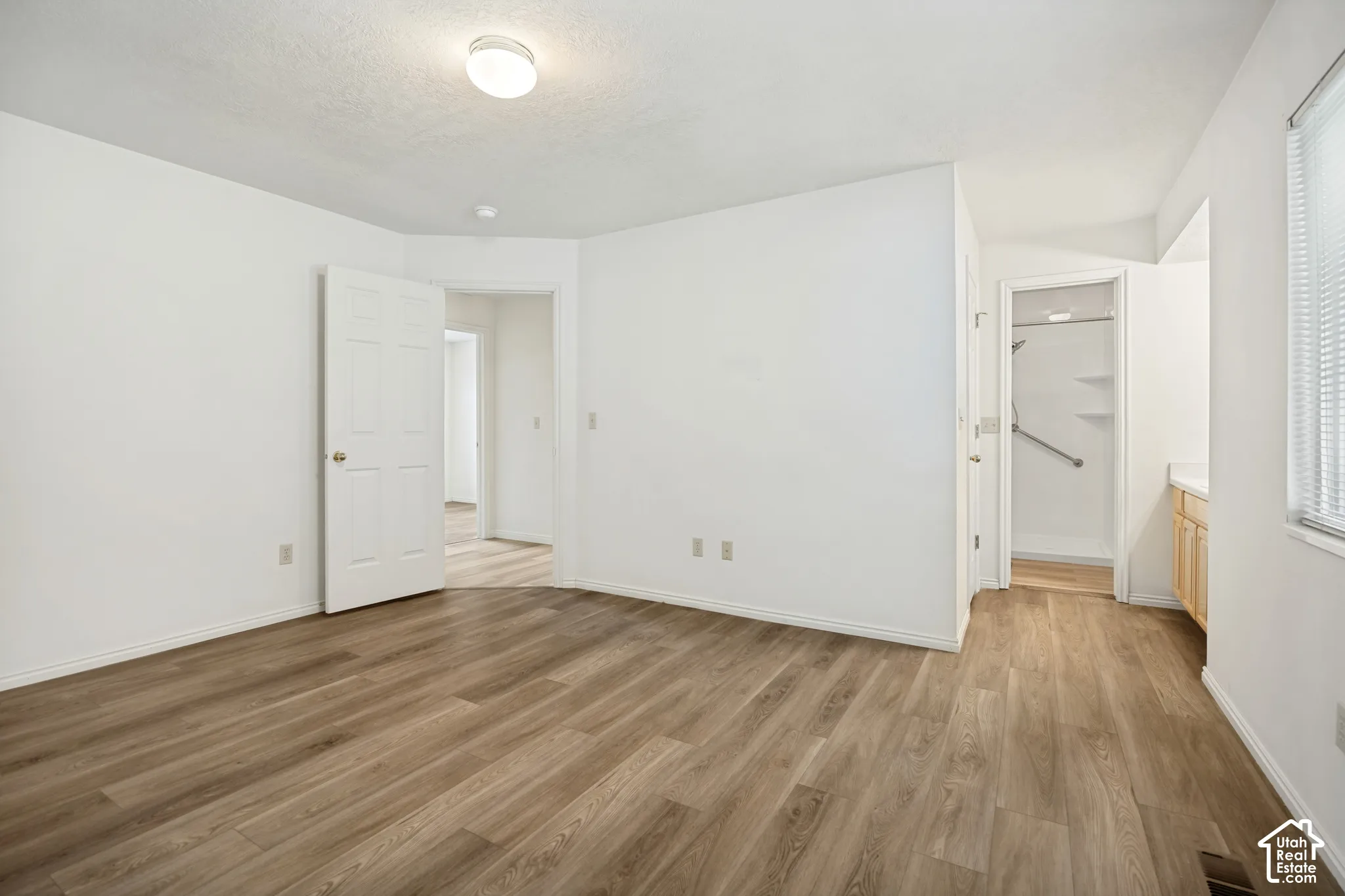 Wood-finish flooring, white walls, flush mount lighting, white paneled doors, and a vanity with a white countertop