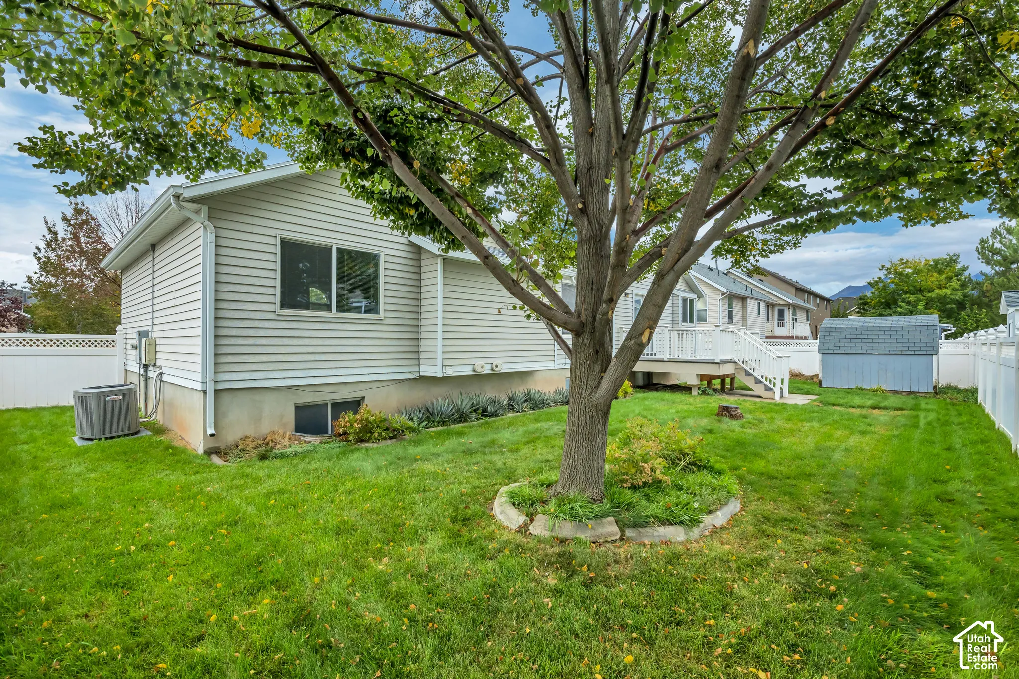 Expansive grassy yard featuring a large mature tree, a white vinyl fence, and a storage shed