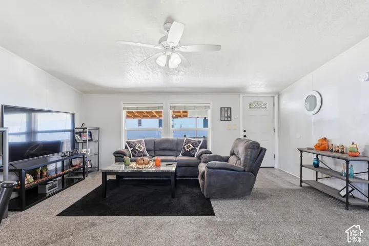 Recessed lighting with ceiling fan, white paneled walls, and soft gray carpeting