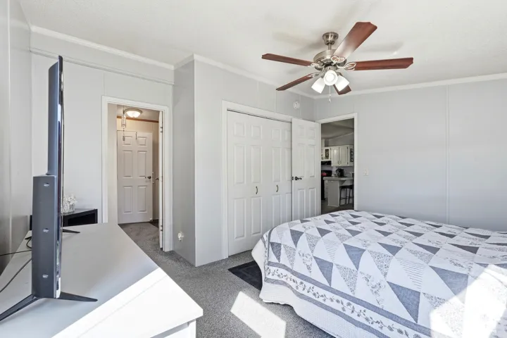 Room featuring carpet flooring, crown molding, a ceiling fan with integrated lighting, and a closet with bifold doors