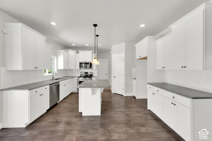 Bright kitchen featuring white shaker cabinetry, dark wood-finish flooring, stainless steel appliances, a center island, and recessed lighting
