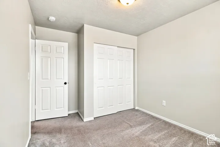 Light gray wall color, textured ceiling, carpeted flooring, white trim, and a six-panel door