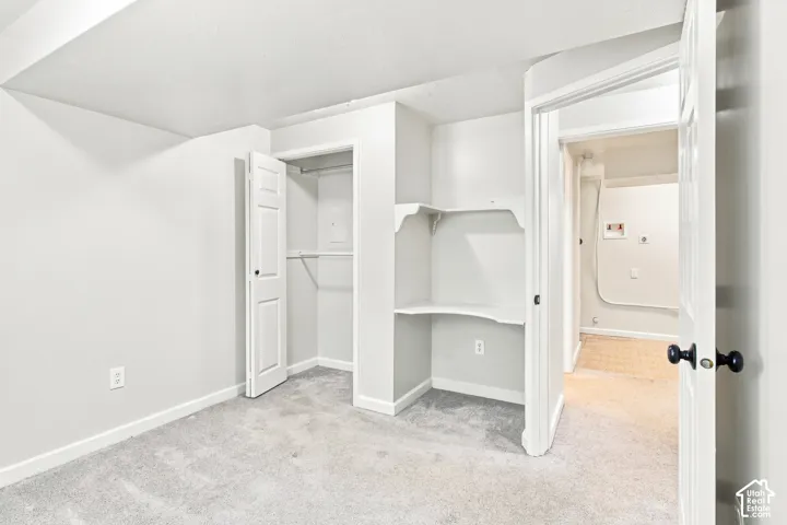 Plush carpeted flooring, built-in shelving, and a dedicated closet space
