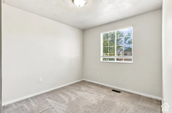 Neutral wall tones, window with horizontal blinds, ceiling-mounted light fixture, and plush carpeting