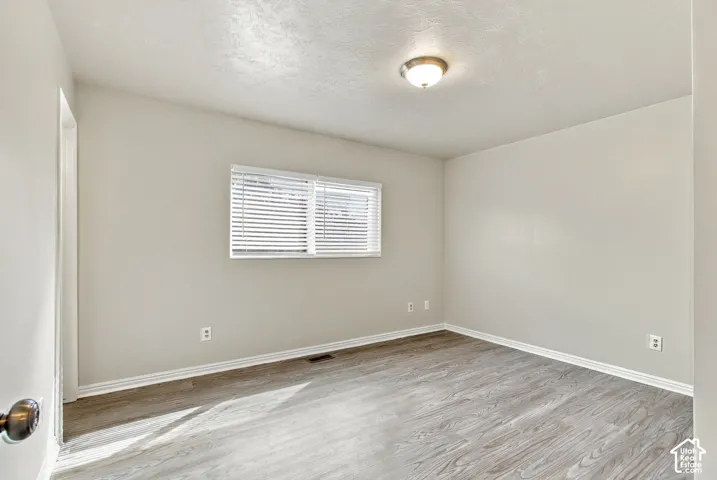Neutral wall color, wood-finish flooring, overhead flush mount light, and window with blinds