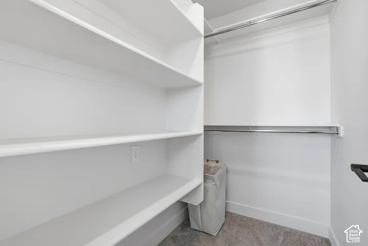 White built-in shelving, chrome hanging rods, and light-toned carpeting