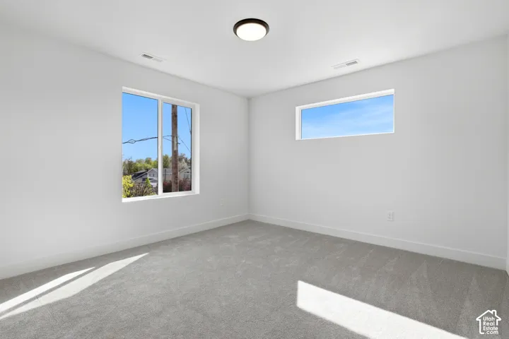 Light gray carpet flooring, white painted walls, a flush-mount ceiling light, and two windows providing natural illumination