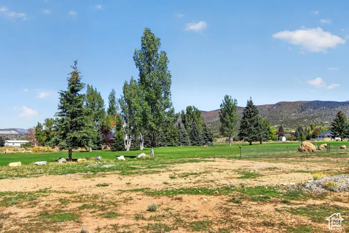 Expansive green space featuring mature trees and mountain scenery