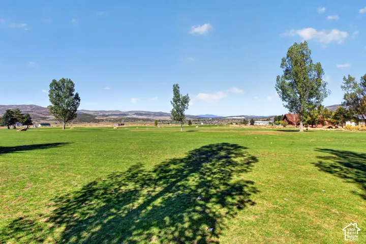 Expansive green space with distant mountain landscape and scattered mature trees