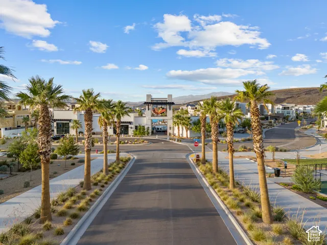 Paved street lined with mature palm trees and desert landscaping, featuring sidewalks and a distant mountain backdrop