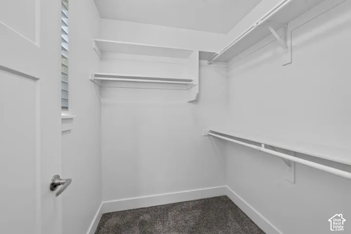 Walk-in closet featuring white built-in shelving, hanging rods, and gray carpeting