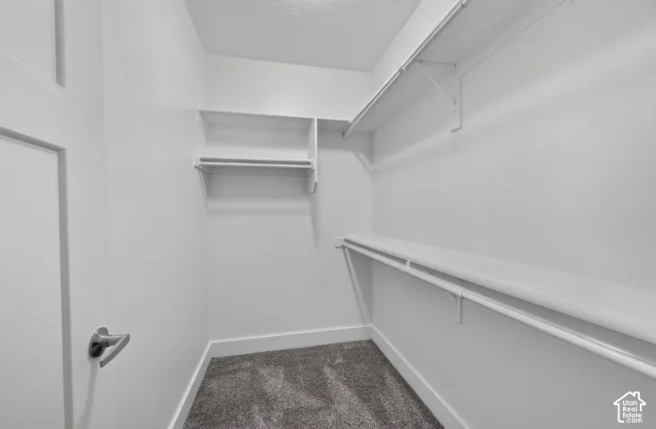 Built-in closet shelving, hanging rods, and gray carpet