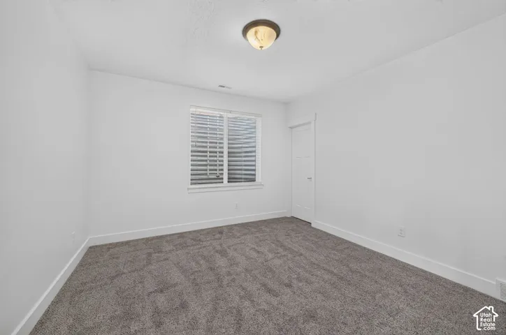 Neutral wall color, window with blinds, overhead light fixture, white trim, and gray carpet