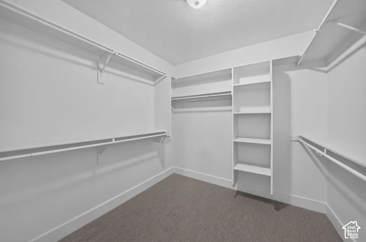 Built-in shelving, multiple hanging rods, and neutral carpet flooring