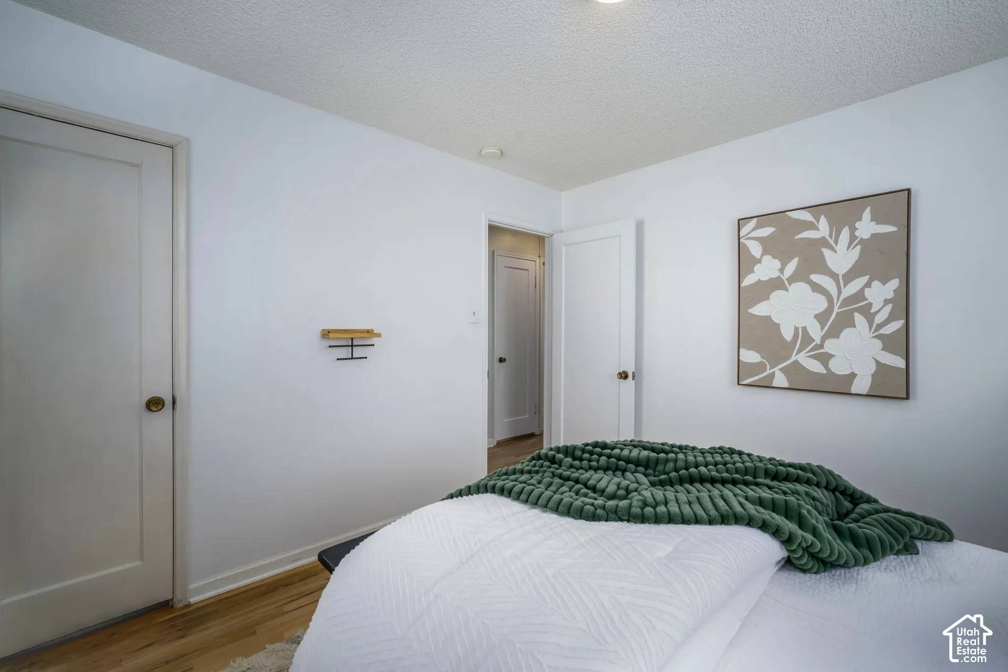 Light-colored walls, wood-finish flooring, recessed lighting, and white paneled doors