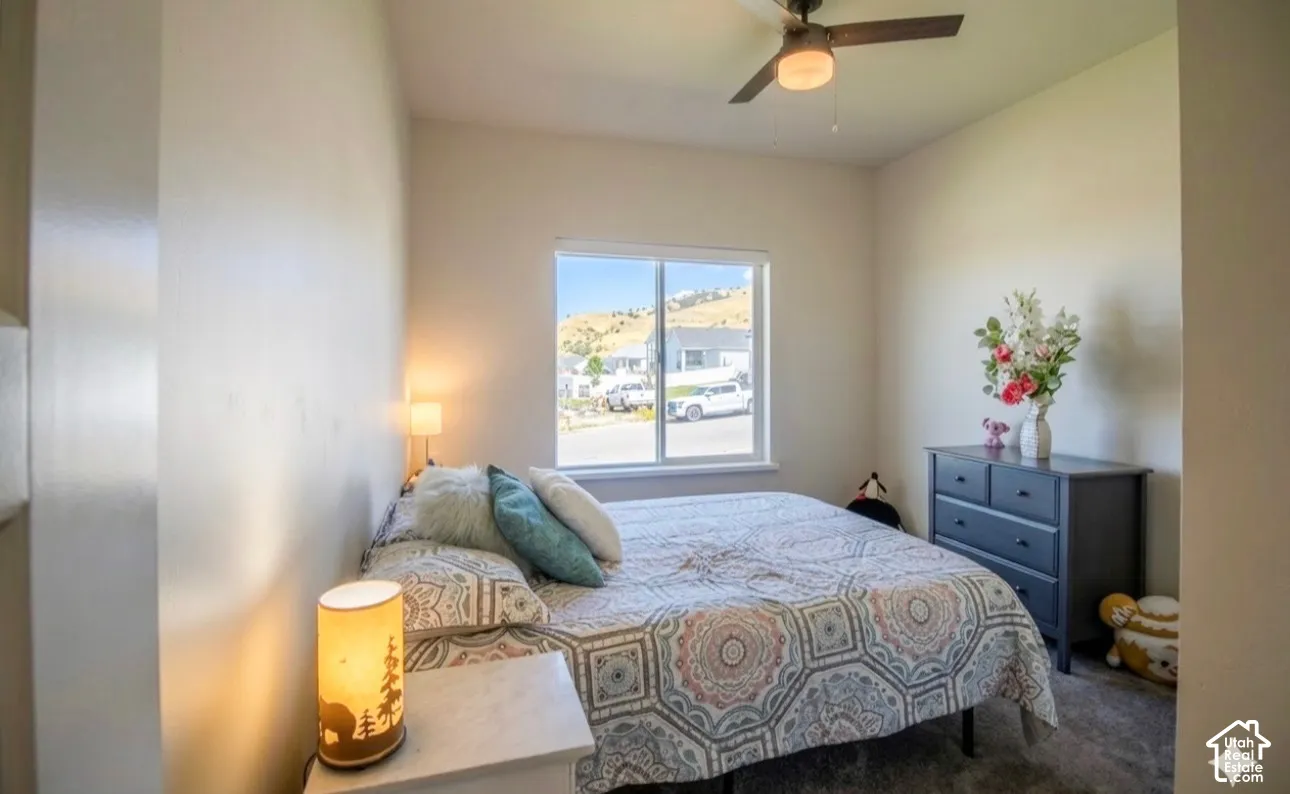 Recessed window, ceiling fan, carpet flooring, and painted walls