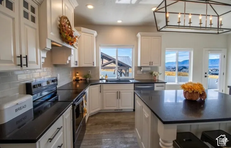 White shaker cabinetry with black hardware, black countertops, stainless steel appliances, and wood-finish flooring