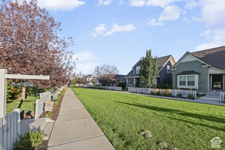 Manicured green lawn with a concrete sidewalk