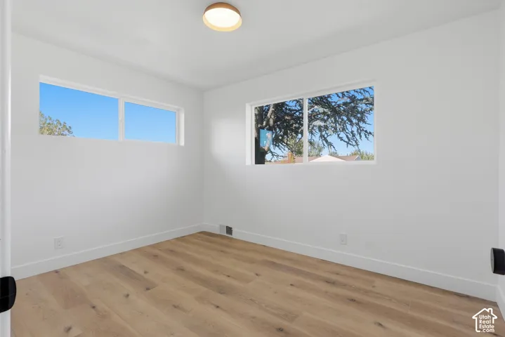 Light wood-finish flooring with white baseboards, a flush-mount ceiling light, and multiple windows