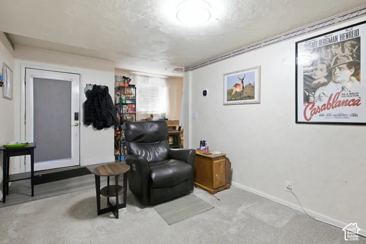 Carpeted flooring with white wall finishes, an overhead light fixture, and a white door with a screen