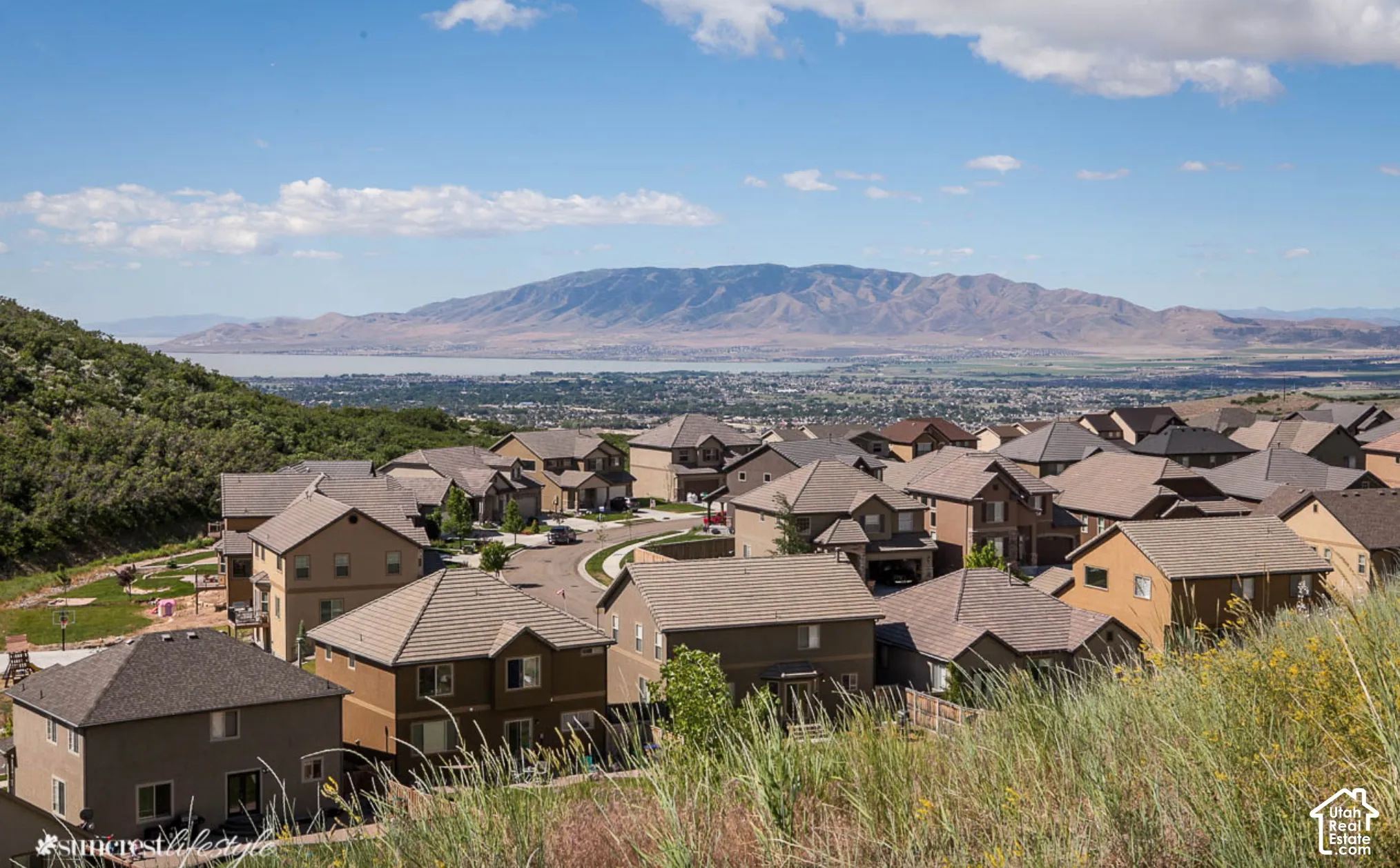 Community setting featuring multiple residences with various exterior finishes and shingle roofs