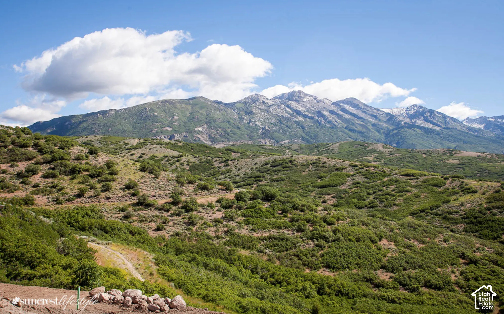 Expansive mountain terrain with varied green foliage and distant snow-capped peaks