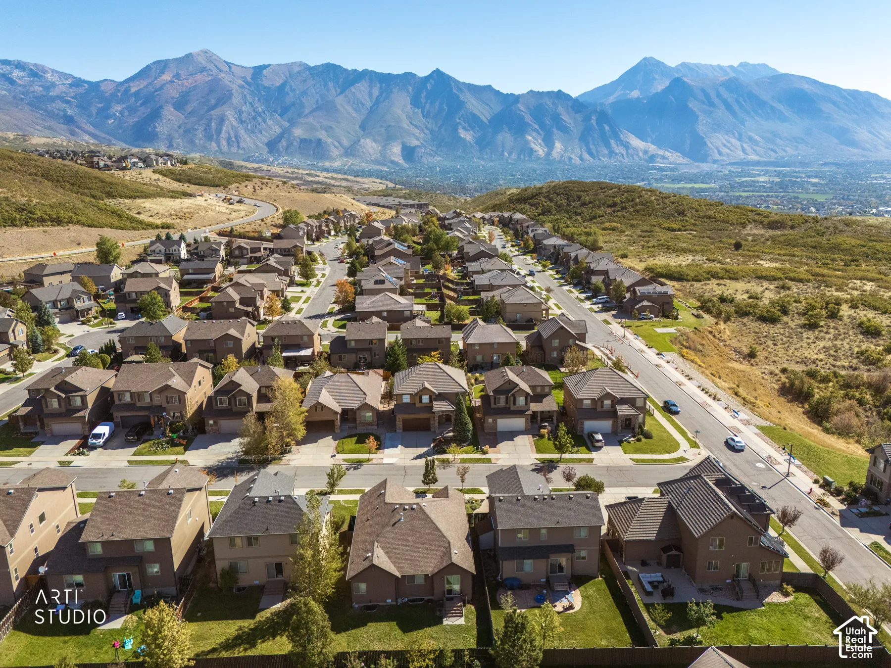 Established residential community with mountain scenery