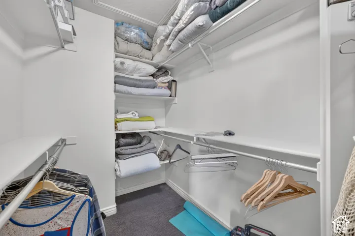 Custom walk-in closet featuring built-in shelving, multiple hanging rods, and carpet flooring