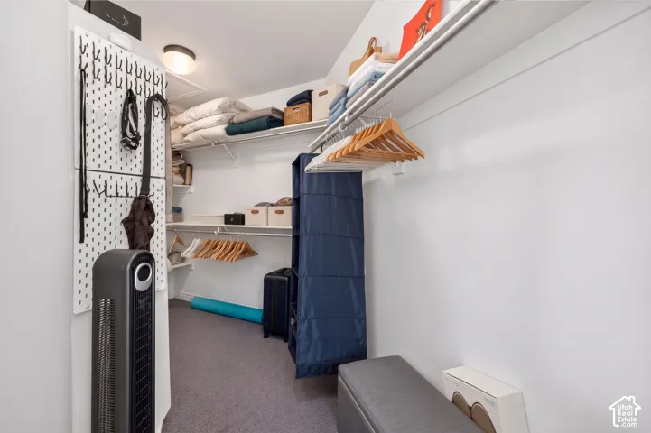 Built-in shelving, overhead lighting, and wall-mounted pegboard storage
