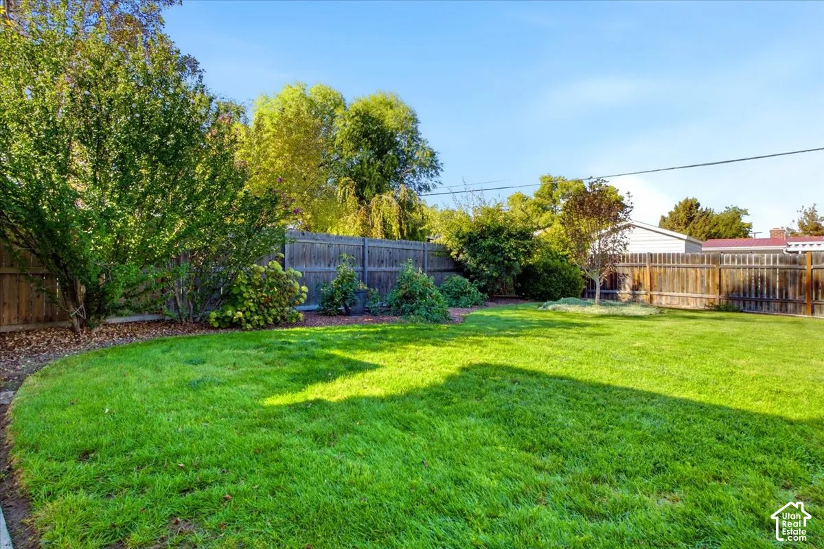 Expansive lawn area, perimeter fencing, mature trees, and established shrubbery
