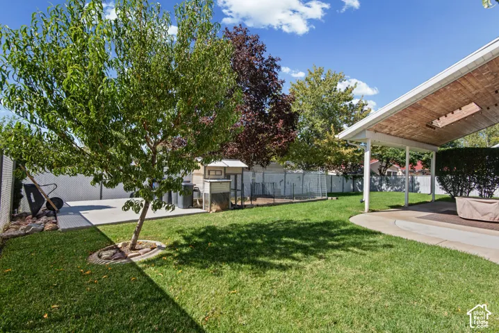 Expansive green lawn with a mature tree